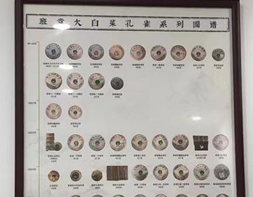 普洱茶回收中心平臺(tái)介紹